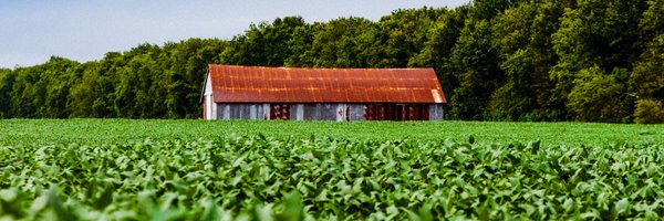 Lucius A. Fontenot Photography Profile Banner