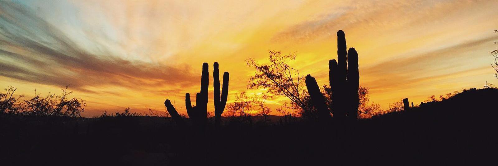 terelebrero's profile banner image