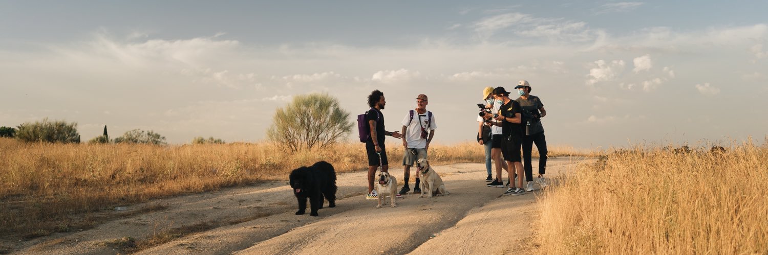 Marcelotwelve banner