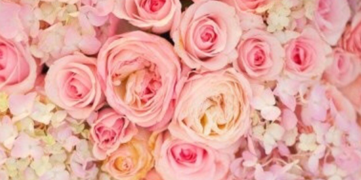 Goddess_Rose's profile banner image