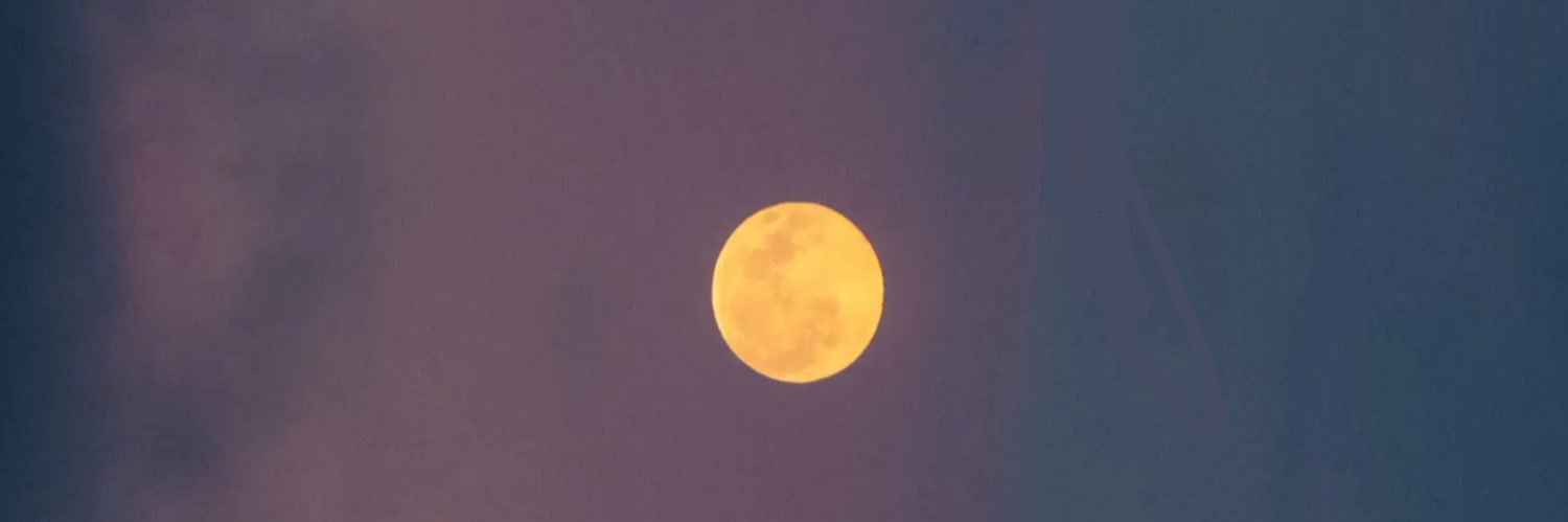 aysfarahcimen's profile banner image