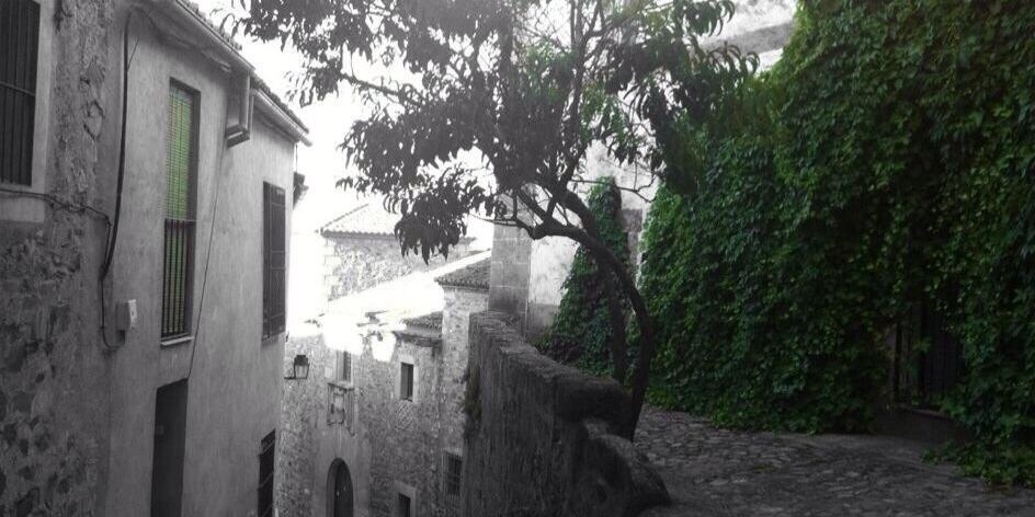 alex_mirmar's profile banner image