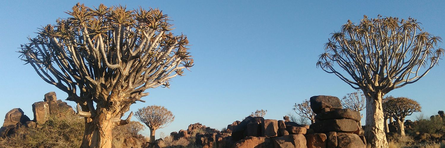 Vojtech Janousek🐧🇬🇱🇺🇦🇪🇺 banner