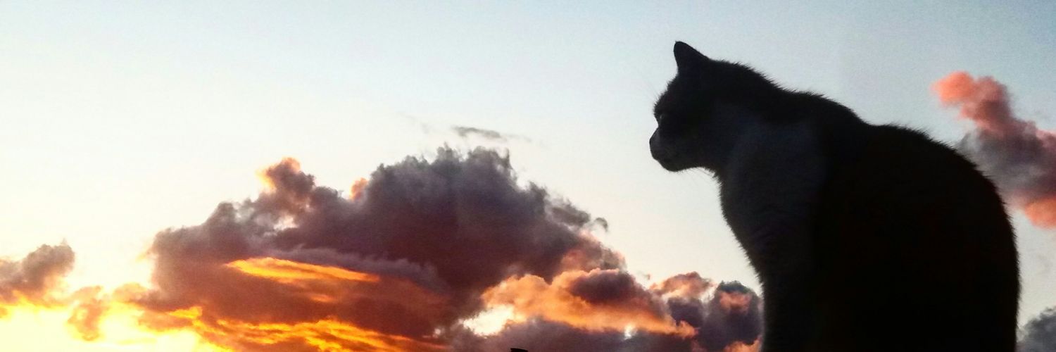 MariaDBLart's profile banner image