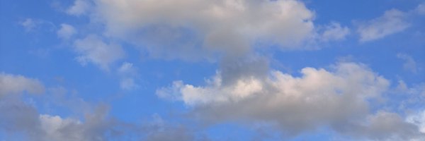 Iceseeya Profile Banner