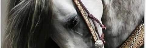 oconde7's profile banner image