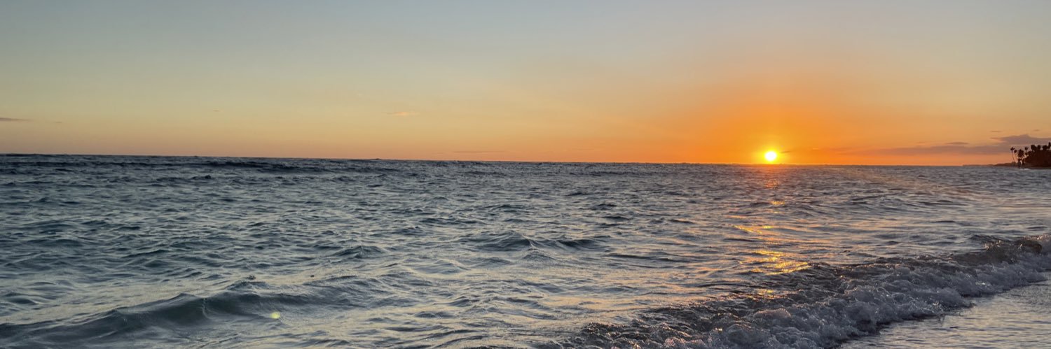 Sachelly Julián-Serrano banner