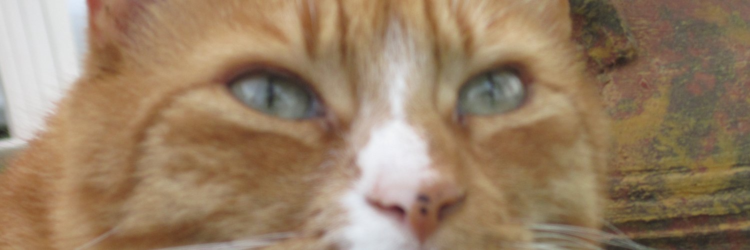 Marlin2002's profile banner image