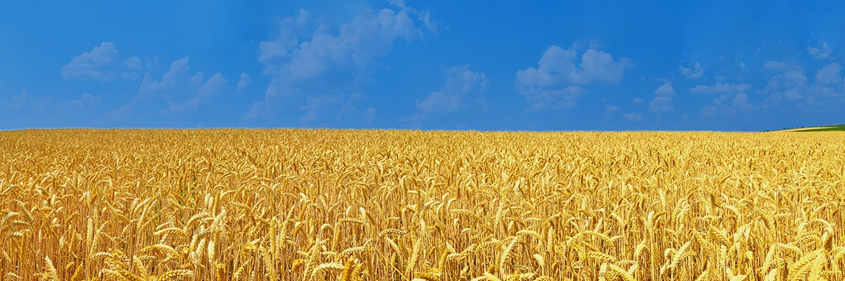 Colorado Farm Bureau banner