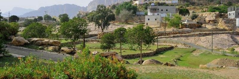 alishar2012's profile banner image