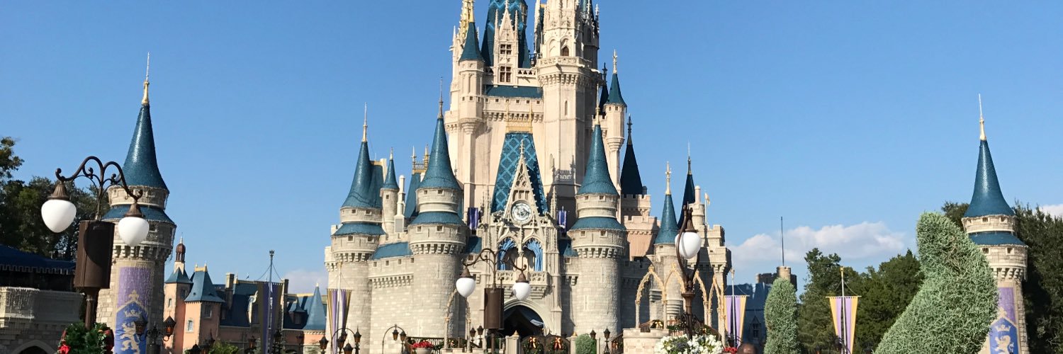 BozWHS's profile banner image