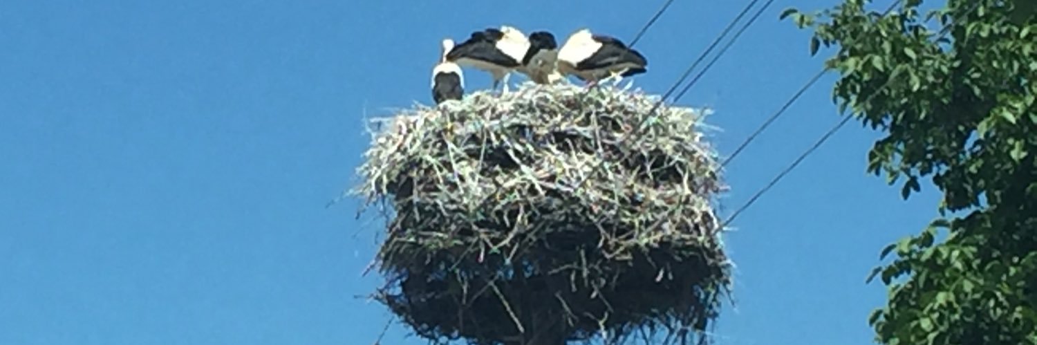 mackic79's profile banner image