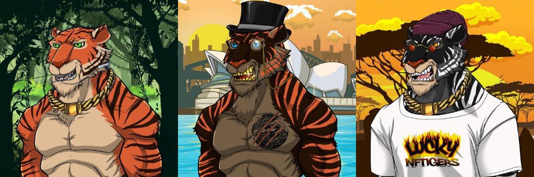 NZstranger's profile banner image
