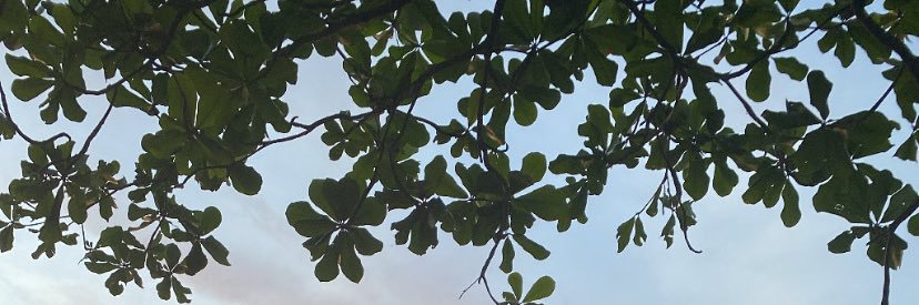 tlcstlls's profile banner image