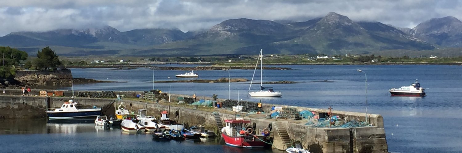 Esther-Mary D'Arcy banner