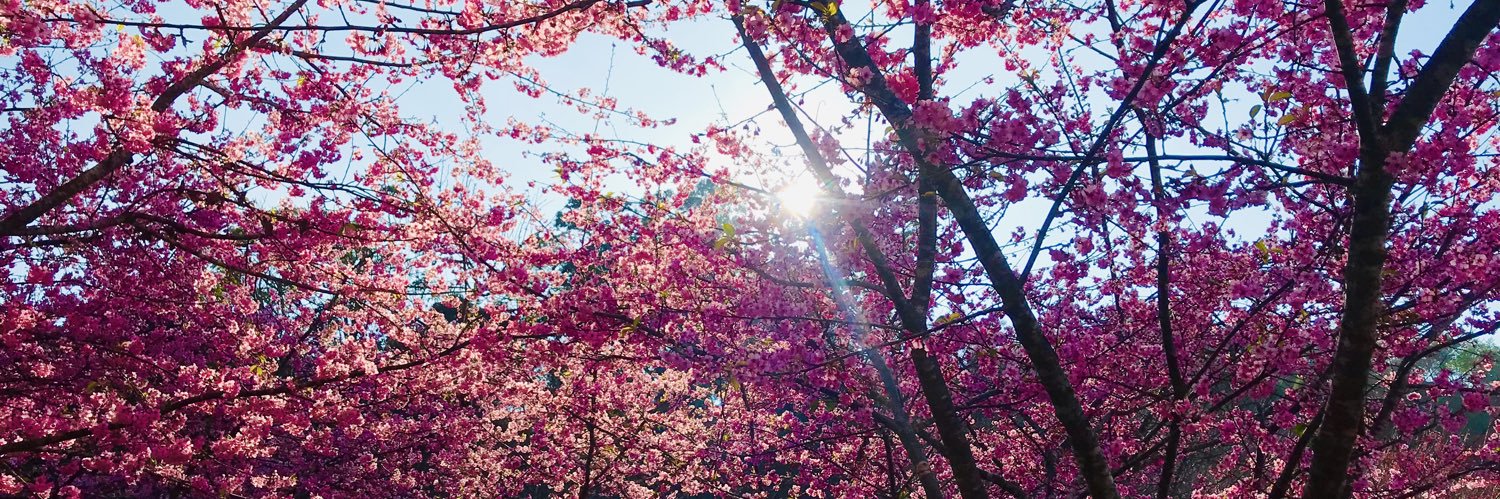 Cat Gentleman banner