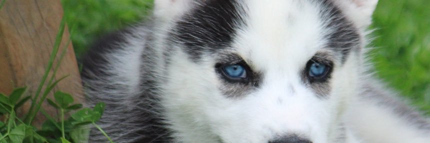 scottyd501's profile banner image