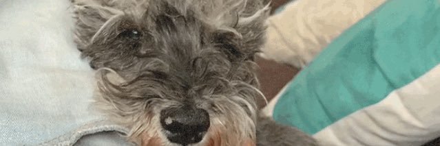 imalmela's profile banner image