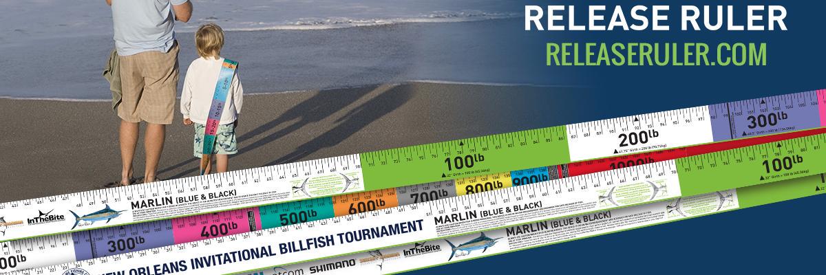 ReleaseRuler's profile banner image