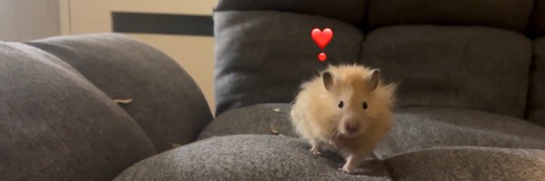 MotherLoverrrr Profile Banner