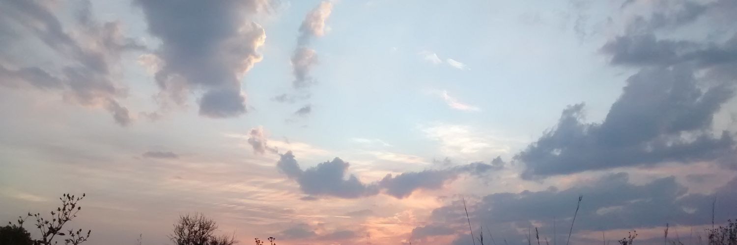 _monirivera_'s profile banner image