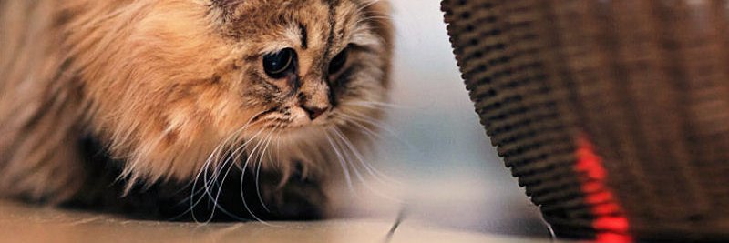 RedLaserPointer's profile banner image