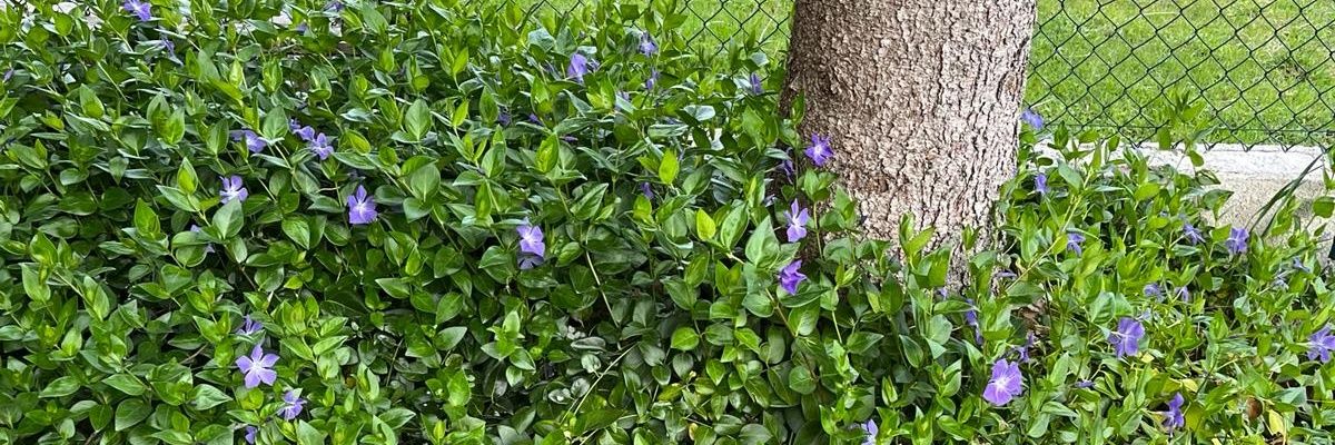 inma_61's profile banner image