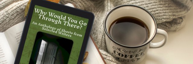 Angela Fitzpatrick - Author banner
