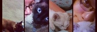 MaferBKMVZ's profile banner image