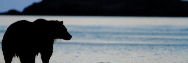 BearGraves's profile banner image