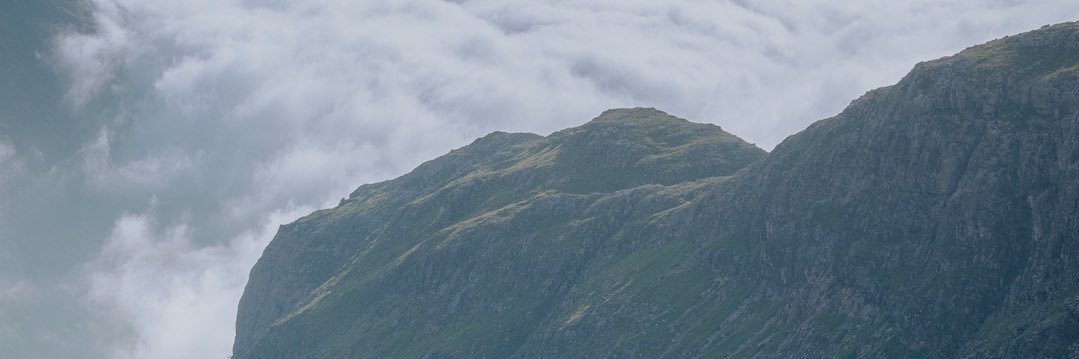 Hey B 🌿 banner