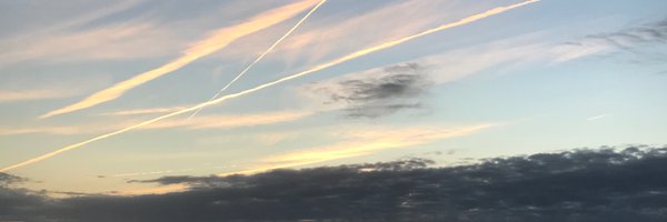 Lahondere_Lab Profile Banner