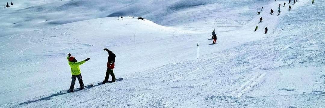 Steinar Dímon banner