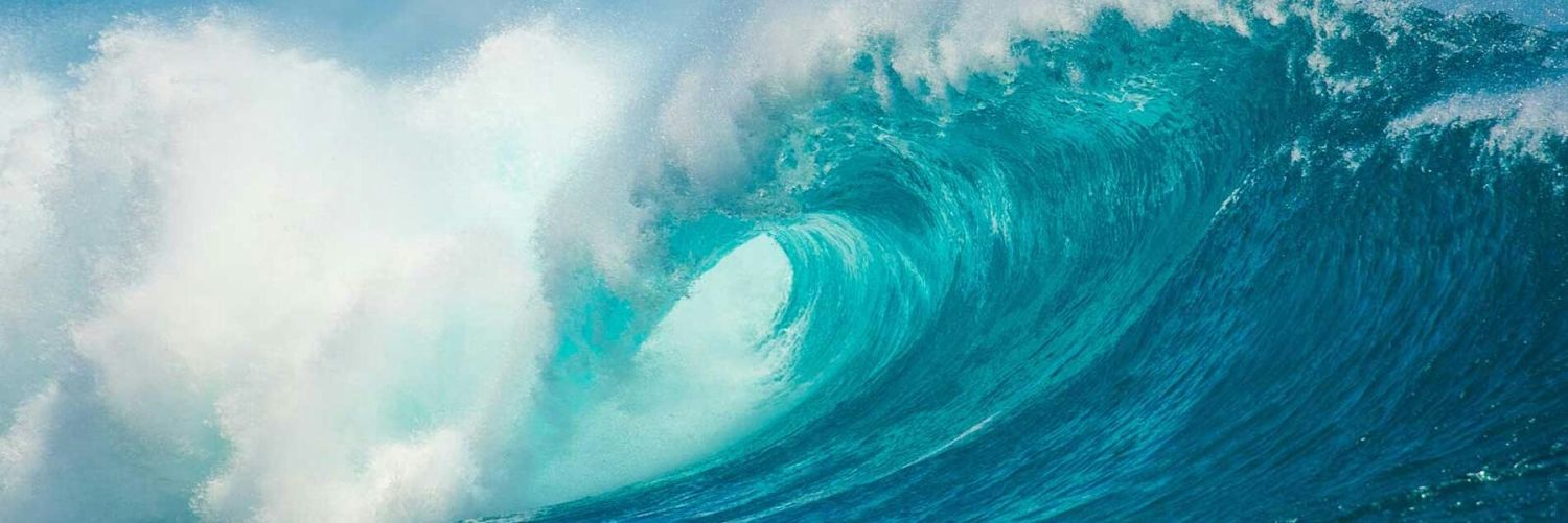 funkibloo's profile banner image