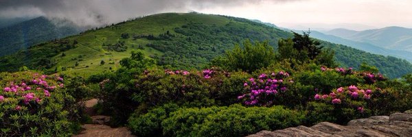 Ed_Heaton Profile Banner