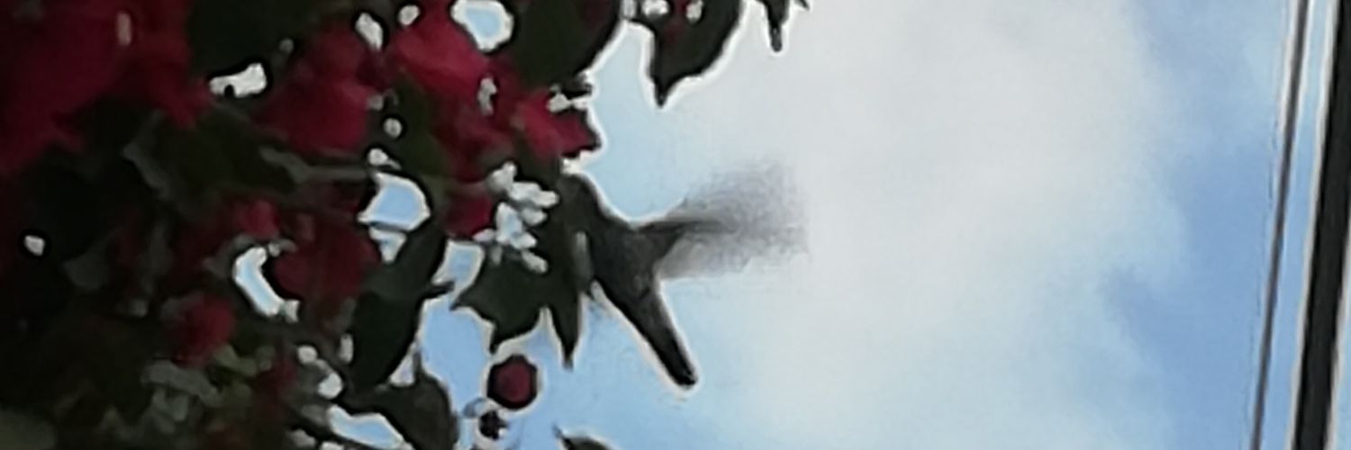 Joel Anselmo Estrada Camacho banner