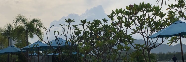 محمد banner