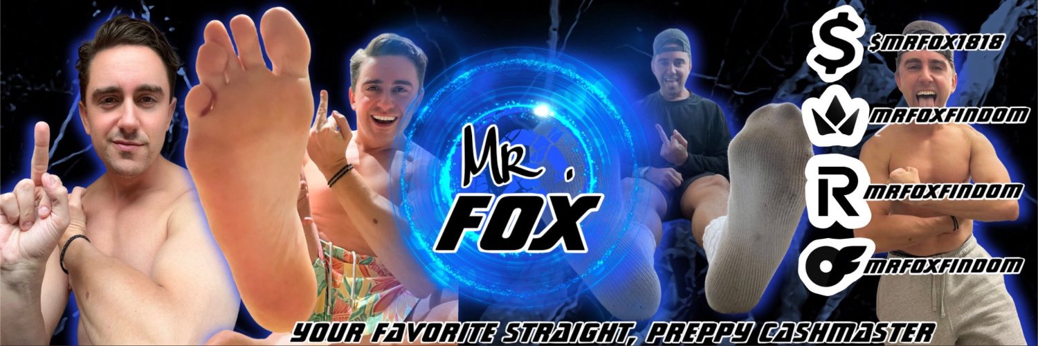 Mr. Fox banner