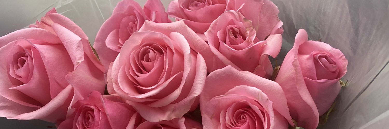 prettybinoo's profile banner image