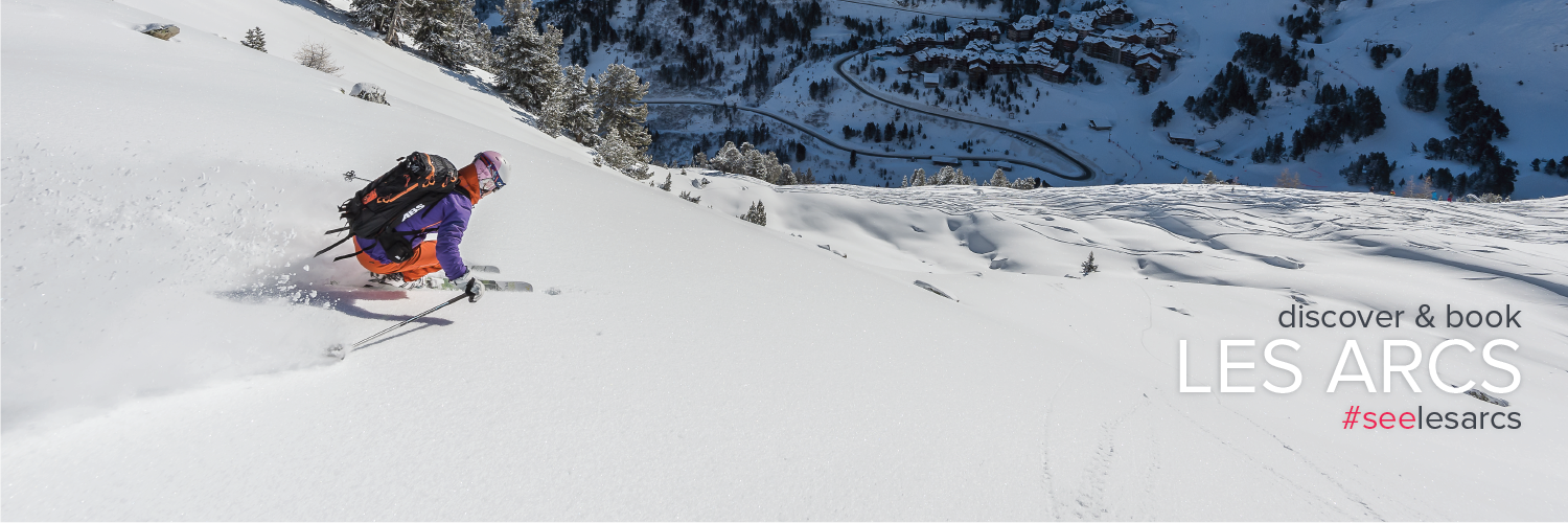 SeeLesArcs.com banner
