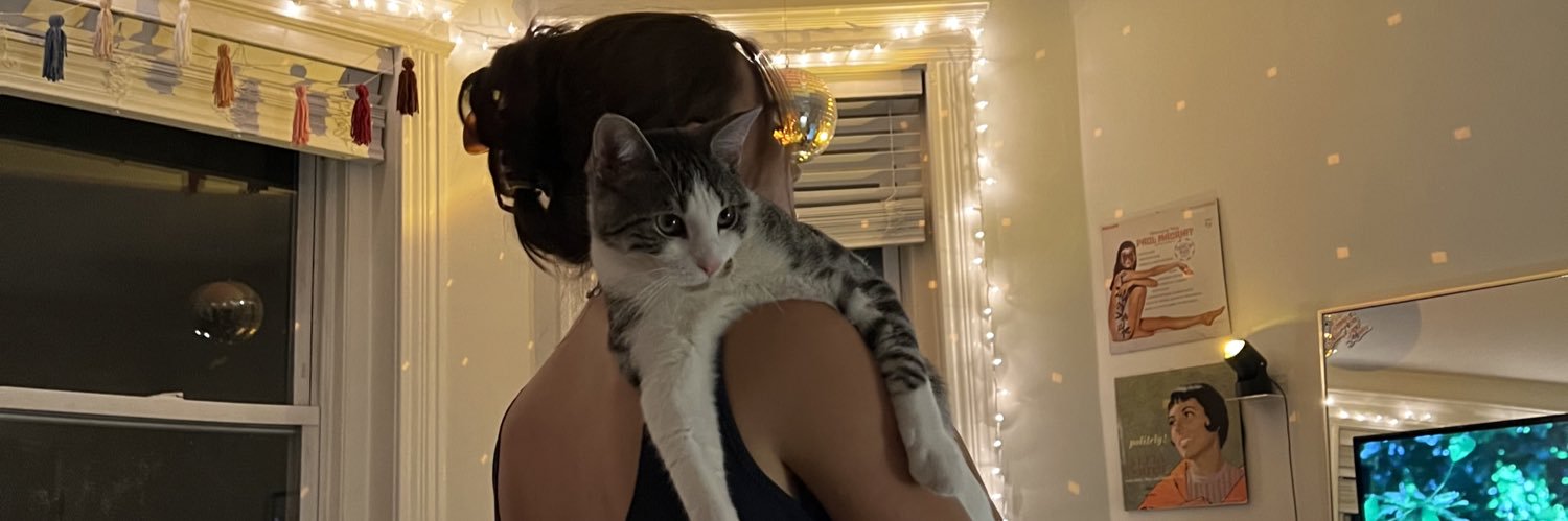 mollyh911's profile banner image