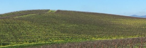 CraigMucka Profile Banner