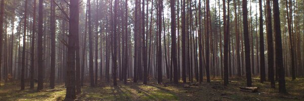 LadyInIT Profile Banner