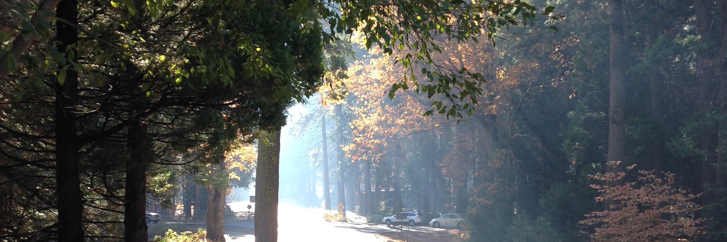 Naushad Godrej banner