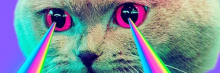 FlowerEscobar's profile banner image