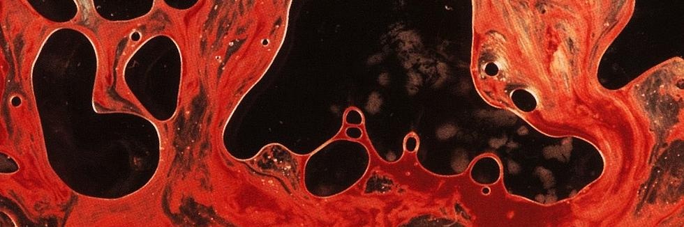 Kamil🏴‍☠️ banner