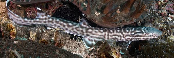 AndyMurch Profile Banner