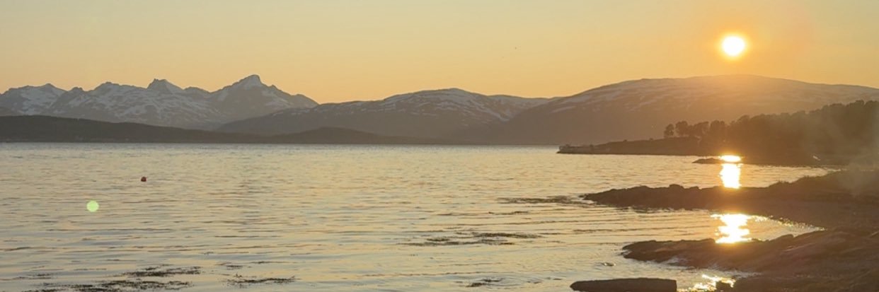 Synnøve banner