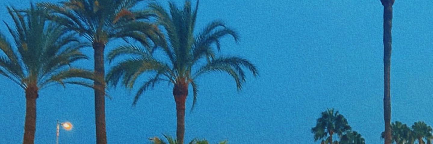 ʎןןǝuuoɔ ǝʇʇoןɹɐɥɔ banner