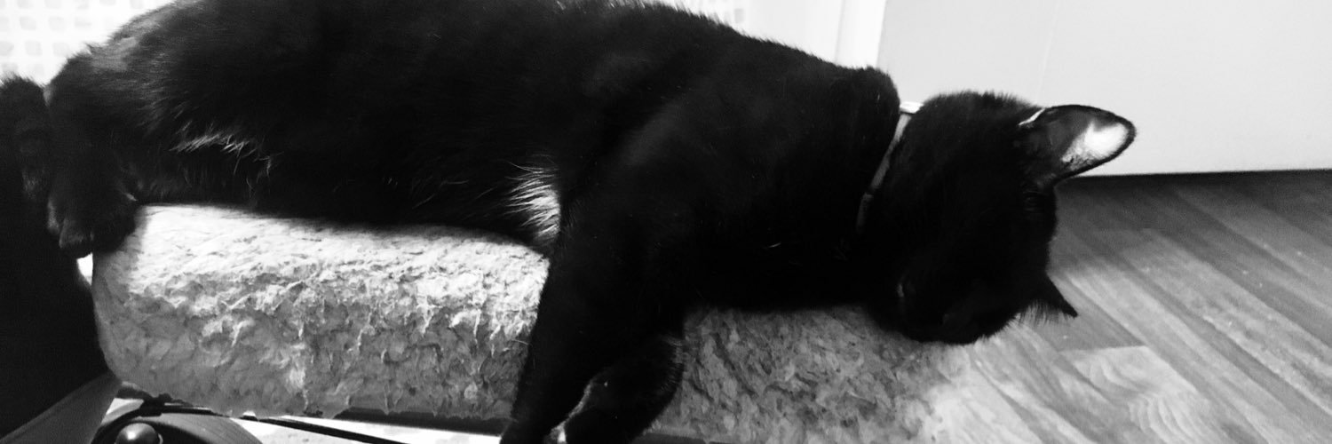 mindysueloo's profile banner image